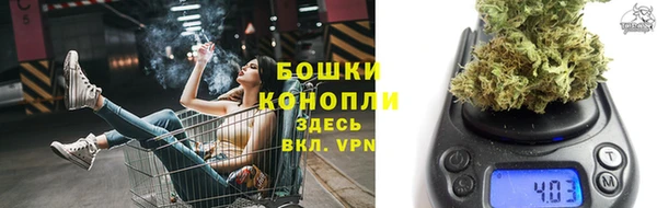 трава Медвежьегорск