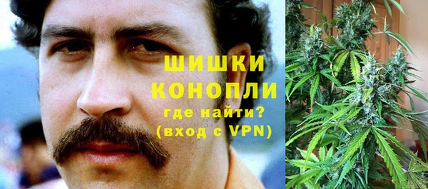 трава Медвежьегорск