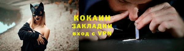 трава Медвежьегорск