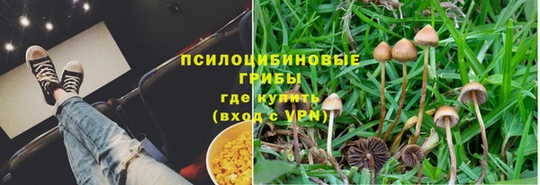 трава Медвежьегорск