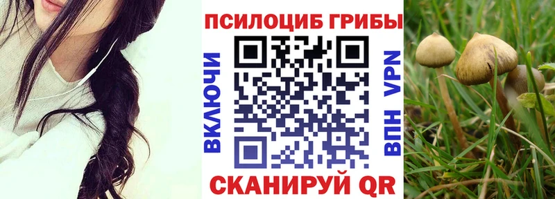 где найти наркотики  Киров  Псилоцибиновые грибы Psilocybe 